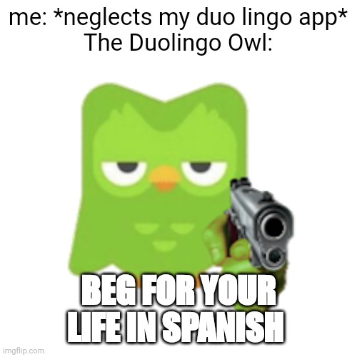 Poll: Duolingo